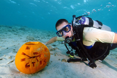 GTDS carved diver.jpg